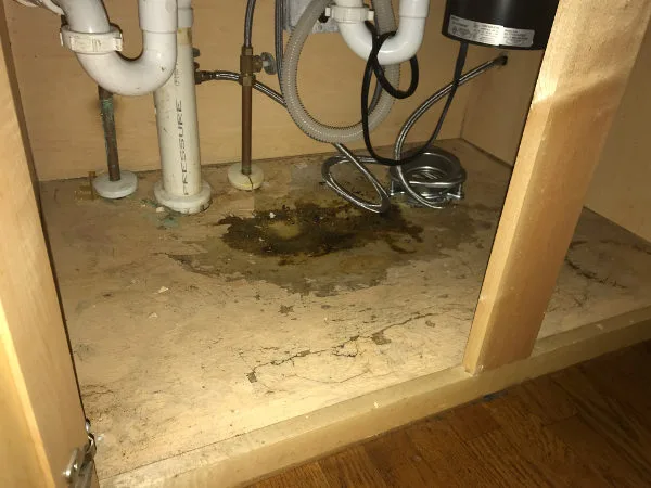 Water Damage Under Kitchen Cabinets